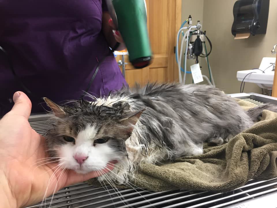 Fluffy thawing out